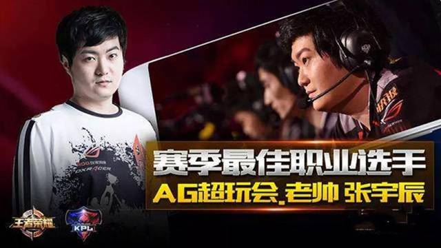 不仅限制了