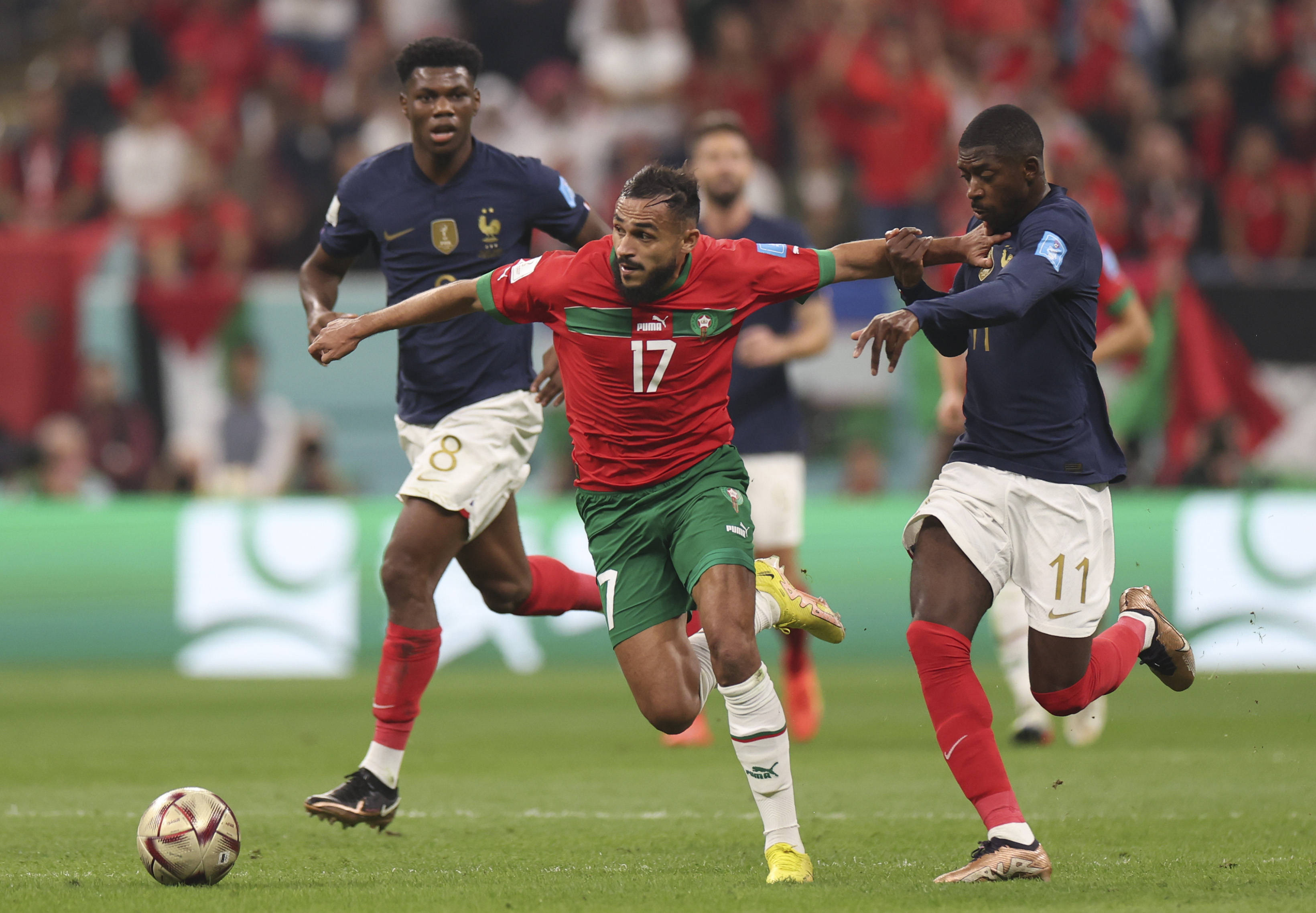 增长和经验 增长和经验