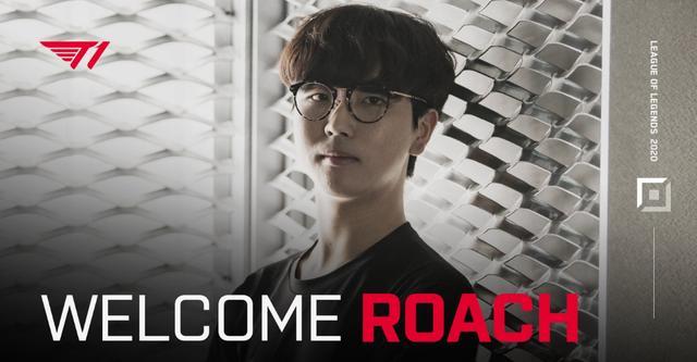 过去五年里 过去五年里