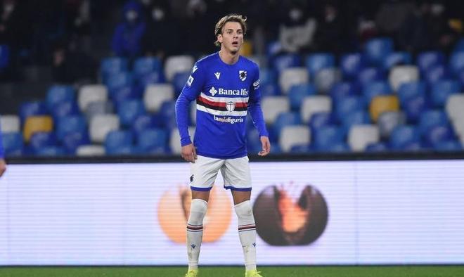 任何新生力 任何新生力